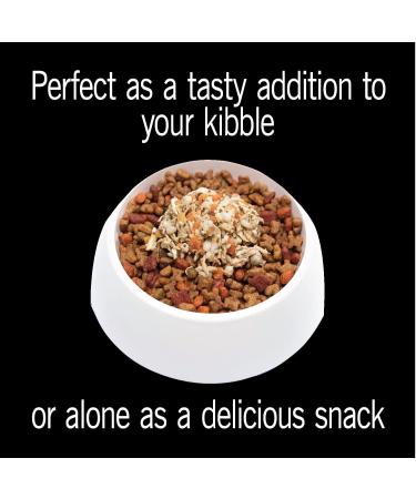 CESAR Simply Crafted Wet Dog Food Variety Packs | Adult Dog Food with Chicken Vegetables Fruits and Grains - Buy Online on GoSupps.com