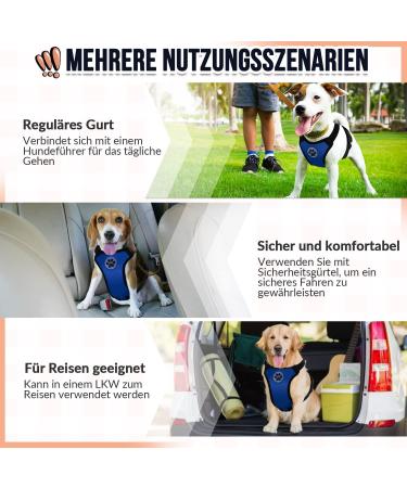 Buy Slowton No Pull Dog Harness - Soft Padded & Breathable XS Blue for Small & Medium Dogs | International Shipping - Buy Online on GoSupps.com