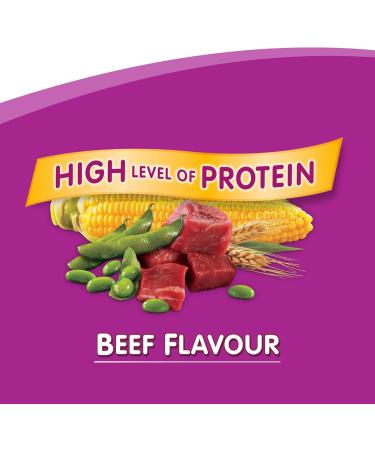 WHISKAS Adult Dry Cat Food - Beef Selections Flavour 9.1kg Bag - Buy Online on GoSupps.com