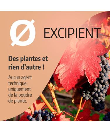 Organic Red Vine 250 mg - 100 Capsules - Ecocert Certified - Orgaliane - Buy Online on GoSupps.com