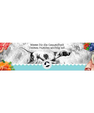 Fresco Dog Barf Sausage Menu Complete Salmon and Beef with Carrot | 2 Pack | 2 x 400g | Salmon & Beef Dog Food with Carrot | - Buy Online on GoSupps.com