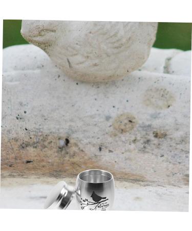 BESPORTBLE 5pcs Parrot Urn Pet Keepsake Urns Urn for Parrot Ashes Urns for Parrot Cat Urns Stainless Steel 4.00X3.00X3.00CMx5pcs Silverx5pcs - Buy Online on GoSupps.com