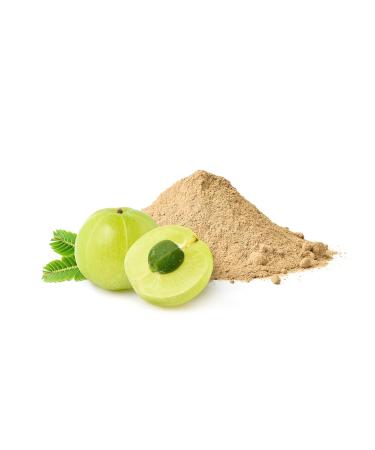 Organic Amla Powder (Amalaki) - 16oz Resealable Bag - Indian Gooseberry - Cooking, Smoothies, Tea - U.S. Wellness Naturals - Buy Online on GoSupps.com