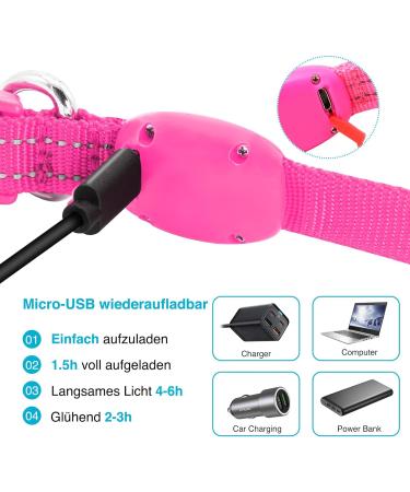KOSKILL LED Dog Collar - Waterproof & Bright Adjustable USB Lighted Collar for Small Dogs (Pink Size S) - Safe & Stylish Pet Accessory - Buy Online on GoSupps.com