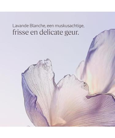 L'OCCITANE LOCCITANE Shower Gel Lavande Blanche White Lavender 250 ml Made in France - Buy Online on GoSupps.com