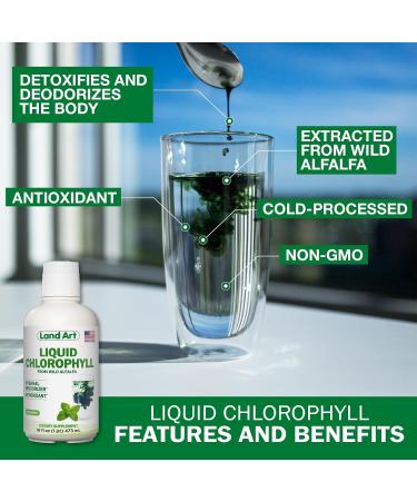 Organic Mint Flavored Liquid Chlorophyll - Cold Extracted from Non-GMO Alfalfa - Natural Body Deodorant and Antioxidant - 16 fl oz - Buy Online on GoSupps.com