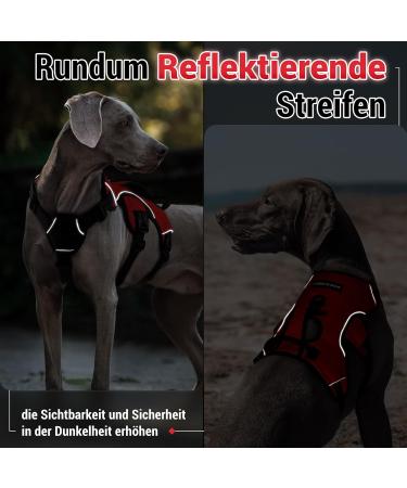 Rabbitgoo Medium Dog Harness - Breaking-Proof Adjustable Padded Vest with Handle | Breathable & Safe for Medium-Sized Dogs - Red (1 Pack) - Buy Online on GoSupps.com