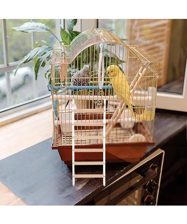 Vanzack Climbing Director for Parrots | Acrylic Vogel Ladder & Wooden Bird Cage Conductor | 26.50x10.00cm | Durable & Safe Pet Accessories - Buy Online on GoSupps.com
