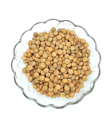 Large Dried Green Lentils (Laird) 4.5 KG 10 lbs Product of Canada - Grandes Lentilles Vertes Produit Du Canada - Buy Online on GoSupps.com