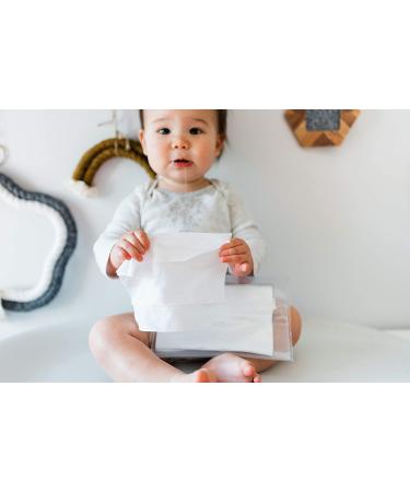 Butipods Reusable Wet Wipe Pouch | Slim Travel Holder for Hand and Face Wipes | Set of 2 (Clear) - Buy Online on GoSupps.com