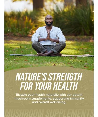 BulkSupplements.com White Button Mushroom Capsules - Mushroom Supplement Agaricus Mushroom Capsules - White Button Mushroom Extract Vegan 240 Count (Pack of 1) - Buy Online on GoSupps.com