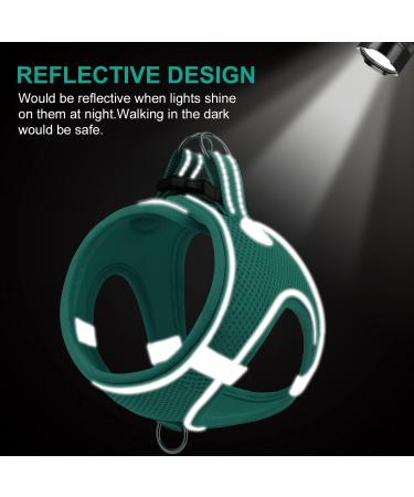 Joyal Dog Harness - Reflective Soft Padded Breathable Air-Mesh for Small Dogs & Cats - Turquoise XXS (31-34cm) - Buy Online on GoSupps.com