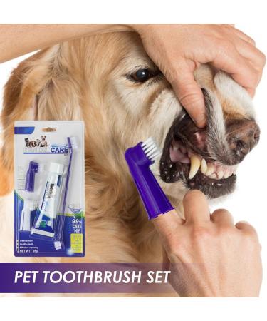 Rosixehird Catznock Brush Essential Puppy & Kitten Toothbrush & Toothpaste for Healthy Smiles | Pet Supplies for Home Clinics and Shelters - Buy Online on GoSupps.com