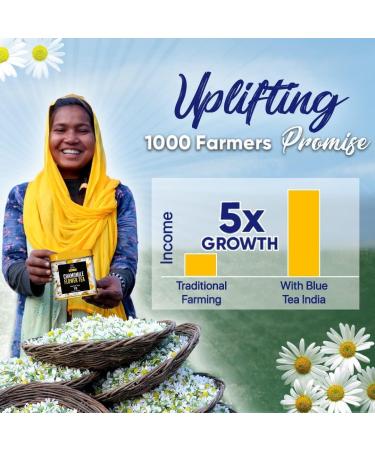 BLUE TEA - Chamomile Flower Tea - 60 gm (Pack of 2) | FARM PACKED for Freshness | Pure Whole Flower Buds of Chamomile | Caffeine Free | Herbal Tea - Buy Online on GoSupps.com