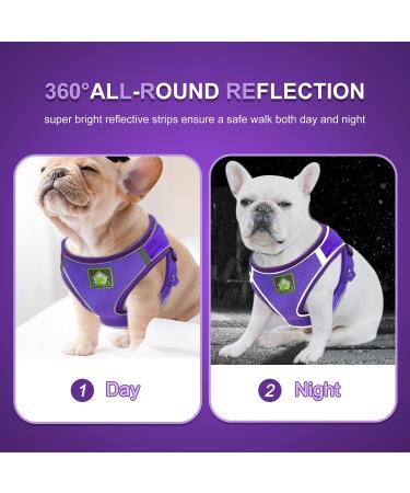 Femax Dog Harness with Leash for Small & Medium Dogs/Cats - Soft Mesh Adjustable No Pull Reflective Vest for Chihuahuas & Puppies (Chest 47-50cm) - Purple - Buy Online on GoSupps.com