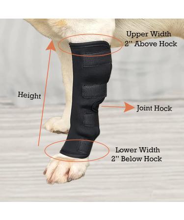 Dog Hock Brace for Rear Legs - Dog Wrap Protects Injuries and Sprains Arthritis Support with (1 Pair) - Buy Online on GoSupps.com