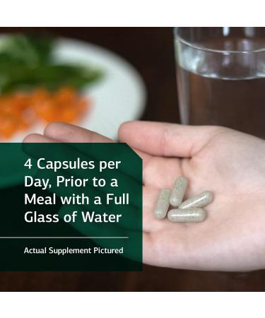 Standard Process GI Adsorb - Gastrointestinal Health & Elimination Dietary Supplement - Digestion System Support - Gluten-Free Non-Dairy & Non-Soy - 112 Capsules (28 Servings) - Buy Online on GoSupps.com