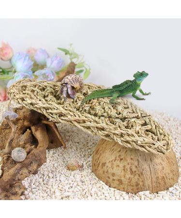 MEISH Reptile Hammock Bearded Dragon Hammock Reptile Lounger Seagrass Hammock with Sucker for Chameleon Lizards Gecko - Buy Online on GoSupps.com