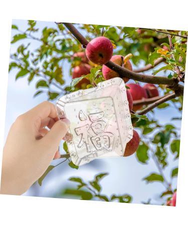 Mipcase 2pcs Square Apple Molds Fruit Vegetable Molds for Gardening Melon Stereotypes Plastic - Buy Online on GoSupps.com