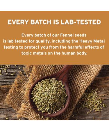 Organic Fennel Seeds (397g/14oz) from Rajasthan, India | USDA Certified | Anti-inflammatory | Ideal for Cooking & Beverages | Resealable Pouch - Buy Online on GoSupps.com