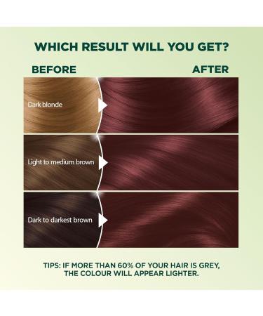 Garnier Nutrisse Ultra Cr me Permanent Hair Dye 100% Grey Coverage Vegan Formula Nourished Hair Long-Lasting Rich Colour 56 Medium Reddish Brown 1 Application Packaging May Vary BROWN SHADES 56 Medium Reddish Brown - Buy Online on GoSupps.com