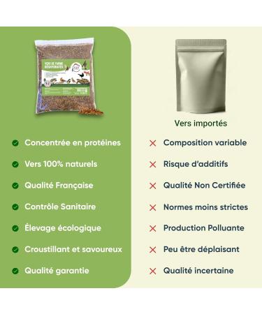 French Dehydrated Flour Worms - Food for Birds Fish Turtles Rodents Hedgehogs and Reptiles (5 kg) - Buy Online on GoSupps.com