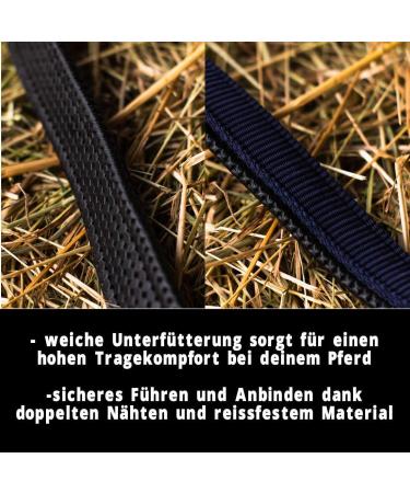 Durable Horse Delinis Halter for Warmbloods Thoroughbreds & Ponies - Adjustable Safe & Tear-Resistant - Perfect for Stables & Pastures - Blue (COB) - Buy Online on GoSupps.com