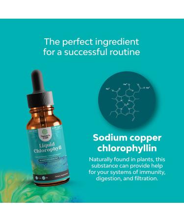 Natural Chlorophyll Liquid Drops - Mint Flavored for Digestive Health & Immune Support | 2oz - Buy Online on GoSupps.com