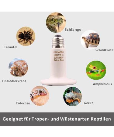 Dernord 100W E27 Ceramic Heat Lamp for Reptiles | Ideal Heating for Terrariums Turtles & Chickens - Outdoor Spotlights - Buy Online on GoSupps.com