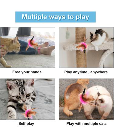 2pcs Cat Collar Toy Silicone Cat Teasing Wand Adjustable Cat Feather Collar Toys with Bell Cat Interactive Teaser Toys for Indoor Cat Playing Training (Pink Blue) - Buy Online on GoSupps.com