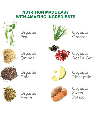 Buy Amazing Grass Protein Superfood Chocolate Peanut Butter 15.1 oz - Nutrient-Dense Protein Blend - Buy Online on GoSupps.com