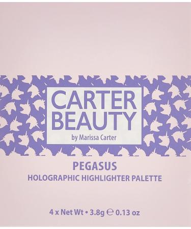 Carter Beauty Mini Highlighter Palette | Long Lasting Shimmer & Matte Makeup | Ideal for International Shipping - Buy Online on GoSupps.com