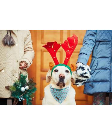 Lionet Paws Christmas Dog Bandana | Festive Reindeer Headscarf for Small Medium & Large Dogs - Buy Online on GoSupps.com