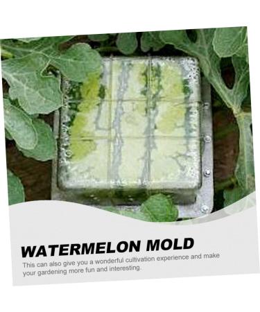 Gadpiparty Vegetables Vegetable Grow Strawberry Mold Large Moss Pole Tools Vegetable Molds Fruit Pumpkin Melon 15x15cm Transparent - Buy Online on GoSupps.com