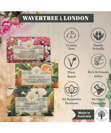 Wavertree & London Trio Gift Box - 3 Natural Soap Bars (7oz) - Japanese Plum French Pear Sicilian Orange - Moisturizing Triple Milled Soap for All Skin Types - Buy Online on GoSupps.com