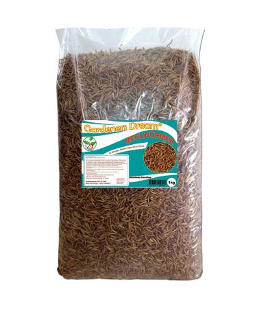 Natural product dried mealworms 1 kg - High quality premium food for wild birds