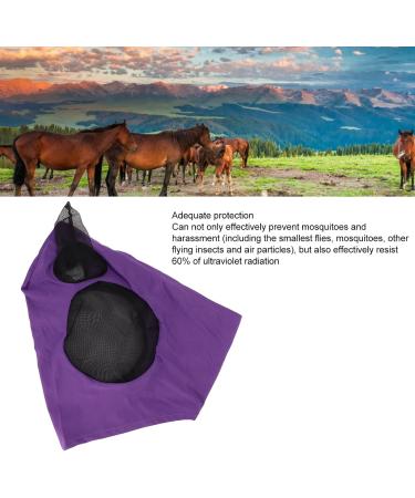 Horse Mesh Fly Mask Breathable Elastic Horse Face Mask with Ears Riding Equestrian Equipment (Purple) - Buy Online on GoSupps.com