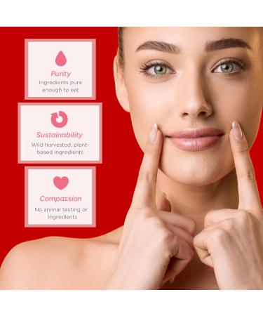 Ellovi Wild Romance Bundle | Wild Rose Tinted Lip Butter & Midnight Whipped Body Butter | All-Natural, Vegan Skincare for Kissable Lips & Velvety Skin | 6 Pure Ingredients - Buy Online on GoSupps.com