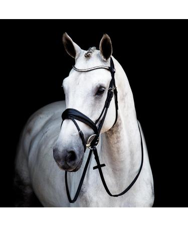 St bben Bridle 2810 Switch Magic Tack - Black Varnish Warmblood with Curved Noseband | International Shipping - Buy Online on GoSupps.com