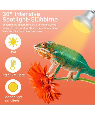 Buy Lucky Herp Reptiles Heat Lamp 100W - UV UVA Light for Turtles Chickens Dogs & Amphibians | 2-Pack Upgrade for Terrariums - Buy Online on GoSupps.com