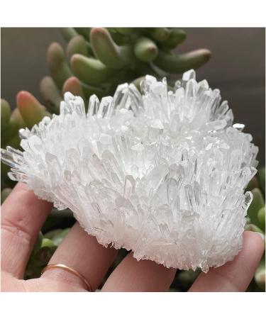 Natural Clear Quartz Crystal Cluster Minerals Reiki Stone Home Furnishing Decoration ZJGIDTEM (Size : 400-500g) - Buy Online on GoSupps.com