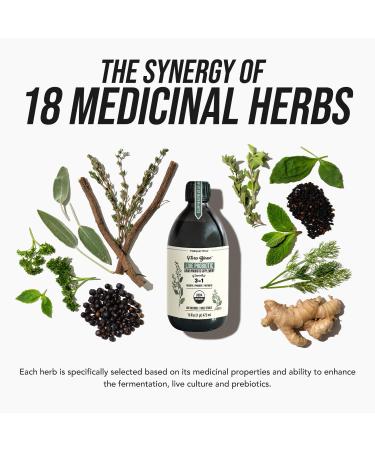 Flora Biome - Live Probiotic Prebiotic & Postbiotic Organic Live-Culture 10 Probiotic Strains 18 Fermented Herbs - Complete Gut Health & Microbiome Optimizer (16 oz) - Buy Online on GoSupps.com