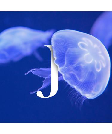 JELLAQUA - Jellaqua Essence Hydrating Boosting Facial Essence Korean Beauty Jellyfish Essence 50ml - Buy Online on GoSupps.com