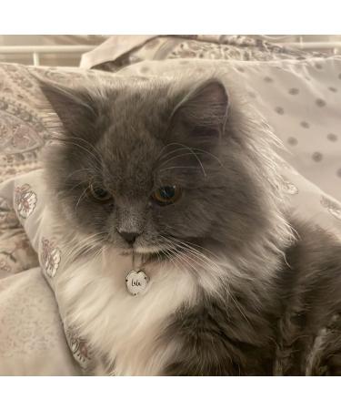 Corolla Elegance 316 Stainless Steel Dog & Cat ID Tags - Double-Sided Engraved Safe Edge Polishing - Perfect for Cat Flower Crowns - Buy Online on GoSupps.com