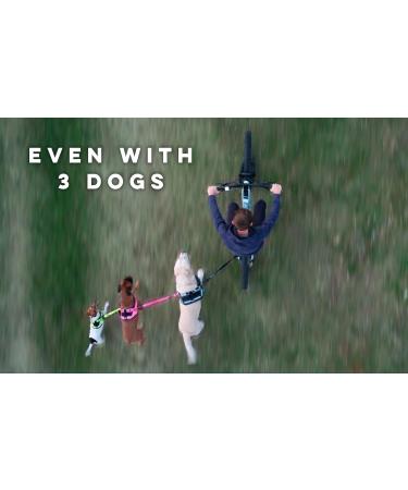 Bike and Dog - Patented Pink Bicycle Dog Leash with Toolless Attachment & Special Dishes - Ideal for Dog Lovers! - Buy Online on GoSupps.com
