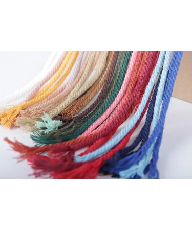 NOANTA Natural Colored Macrame Cord 2mm x 220yards - Cotton Rope for Wall Hanging, Plant Hangers, Crafts - Colorful Macrame Yarn for Knitting - Buy Online on GoSupps.com