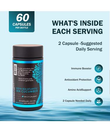 Nova Sea Atlantic Sea Cucumber Supplement Wild Caught Sea Cucumber Capsules with Fucosylated Chondroitin Vitamins Mineral Natural Antioxidant Supplement for Elderly Adult Child (Pack of 6) 60 count (Pack of 6) - Buy Online on GoSupps.com