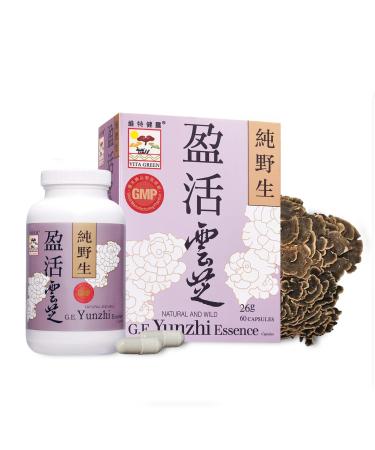 Turkey Tail Mushroom Capsules Yunzhi Essence for Recovery Health and Wellness Daily Immune and Digestive Support with Antioxidants Pure Beta-Glucan Extract from Fruiting Bodies (60 Capsules) 60 Count (Pack of 1)