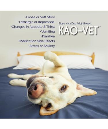 Kao-Vet Dog Anti Diarrhea Liquid for Dogs & Puppies 8 fl oz (236 mL) Fast Acting Diarrhea Relief with 8% Kaolin Upset Stomach Firms Stool & Soothes Intestinal Discomfort - Buy Online on GoSupps.com