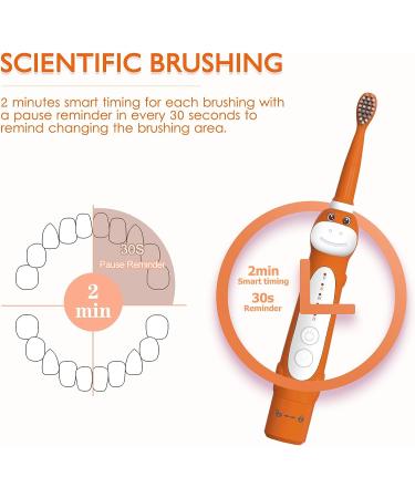 CHAIN PEAK Dinosaur Kids Sonic Electric Toothbrush for Children 3-12 | 30s Reminder, 2 Mins Timer, 5 Modes | 8 Brush Heads, Rechargeable | Orange | Wall-Mounted Holder - Buy Online on GoSupps.com